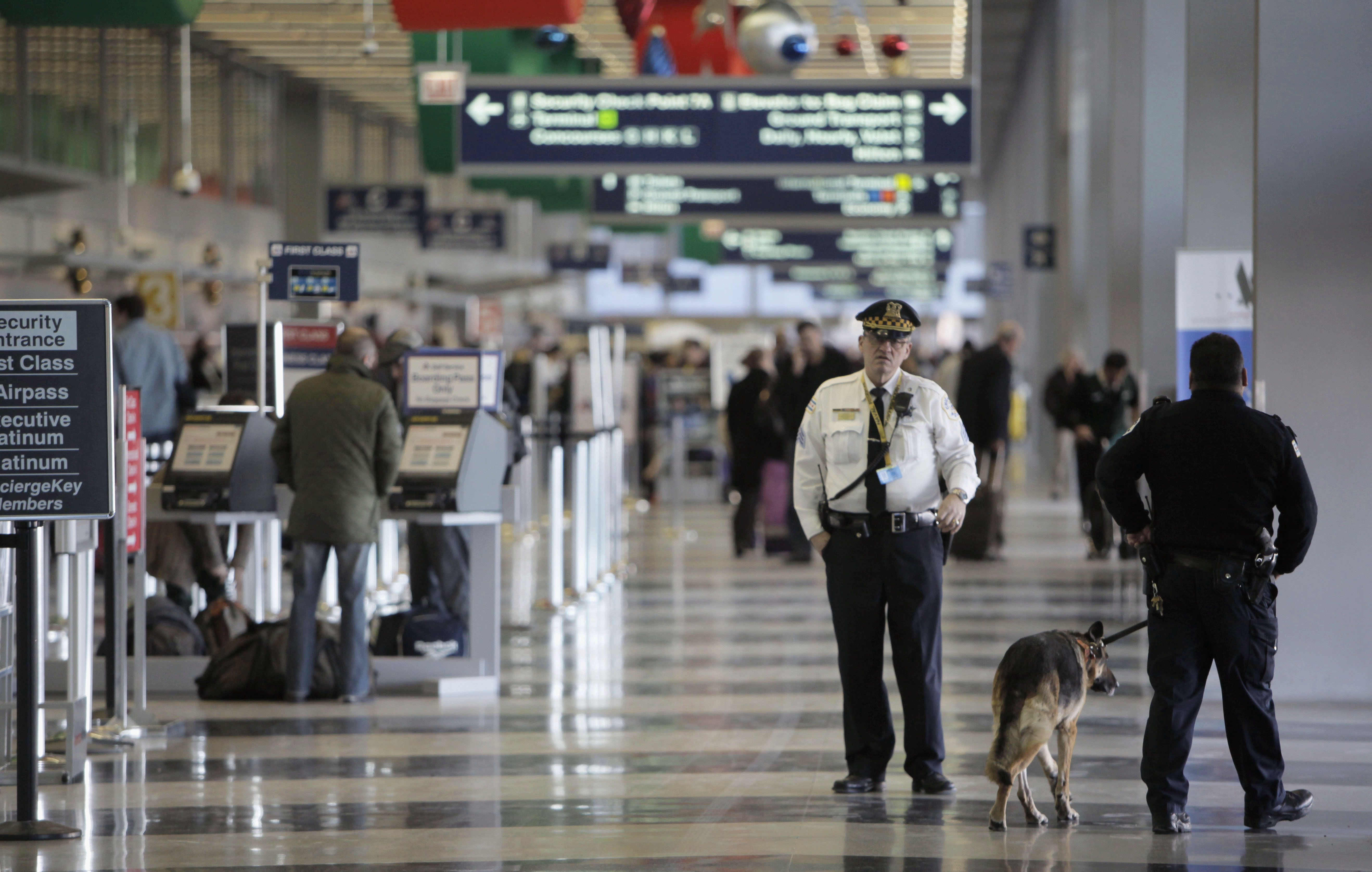 arrests at new york city airports gun